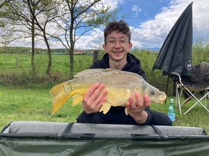 Mirror Carp