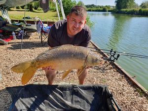 Mirror Carp