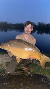 Mirror Carp