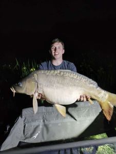 Mirror Carp