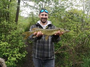 Northern Pike