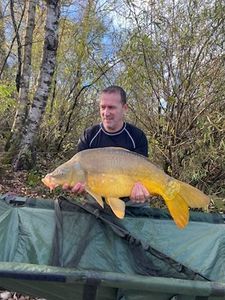 Mirror Carp