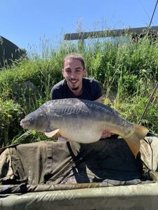 Mirror Carp
