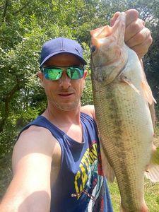 Largemouth Bass