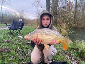 Common Carp