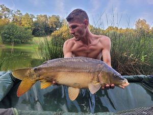 Mirror Carp