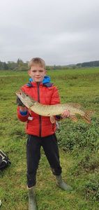 Northern Pike
