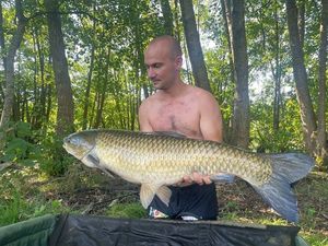 Grass Carp