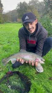 Rainbow Trout
