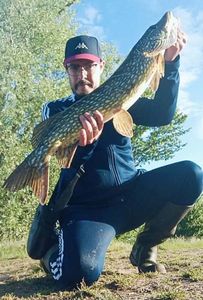 Northern Pike