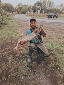 Northern Pike