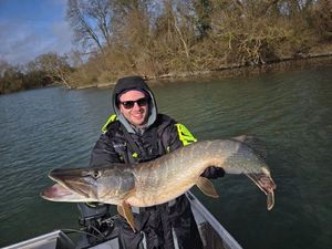 Northern Pike