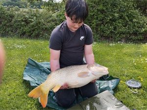 Common Carp