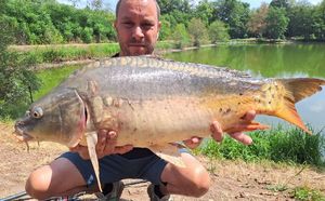 Mirror Carp