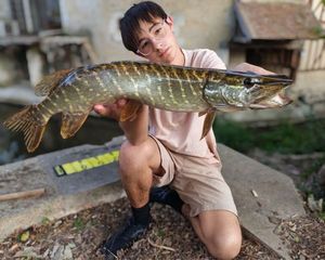 Northern Pike