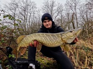 Northern Pike