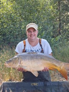 Mirror Carp