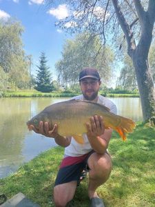 Mirror Carp