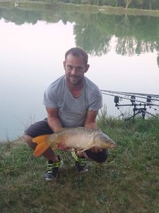Mirror Carp