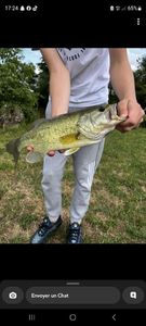 Largemouth Bass
