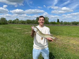 Northern Pike