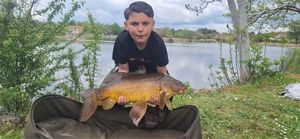 Mirror Carp