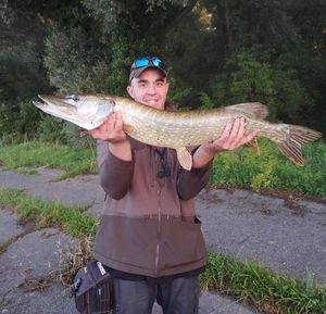 Northern Pike