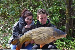 Common Carp