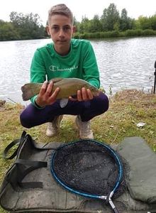 Tench