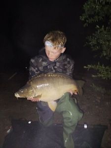Mirror Carp