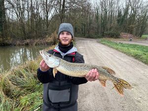 Northern Pike