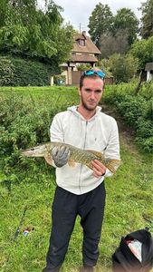 Northern Pike