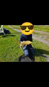 Tench