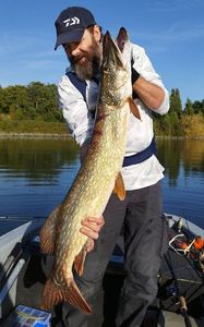 Northern Pike