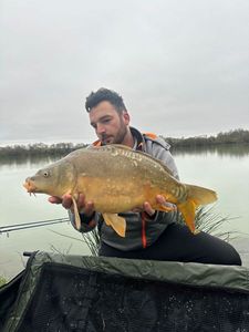 Mirror Carp