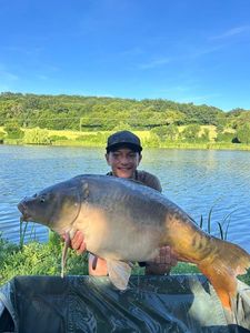Mirror Carp