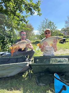 Common Carp