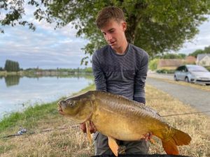 Mirror Carp