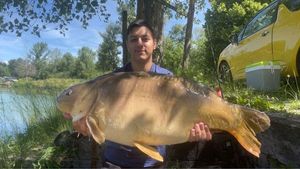 Mirror Carp