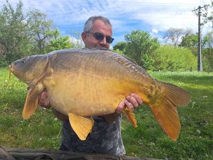 Mirror Carp