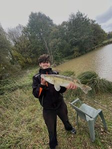Zander