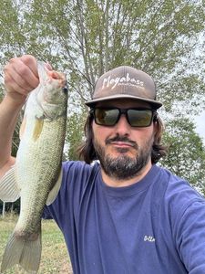 Largemouth Bass