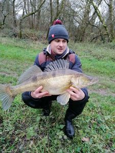 Zander