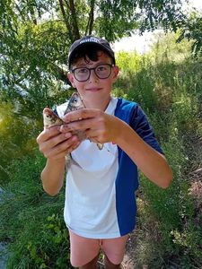 White bream