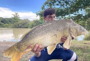Mirror Carp