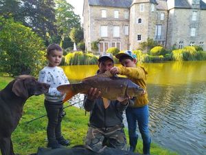 Mirror Carp