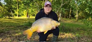 Mirror Carp