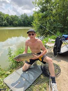 Common Carp