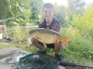 Mirror Carp