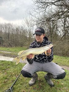 Northern Pike